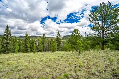 75 Deer Run, Guffey, CO 80820 - Photo 29