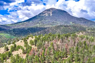 75 Deer Run, Guffey, CO 80820 - Photo 45