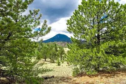 75 Deer Run, Guffey, CO 80820 - Photo 23