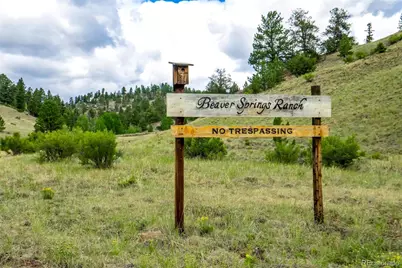 75 Deer Run, Guffey, CO 80820 - Photo 49