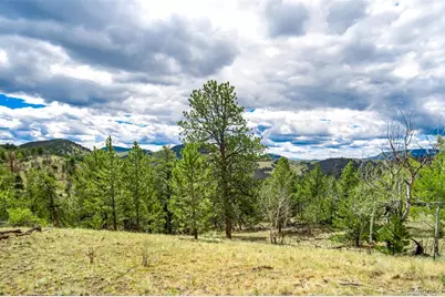 75 Deer Run, Guffey, CO 80820 - Photo 33