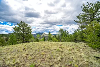 75 Deer Run, Guffey, CO 80820 - Photo 27