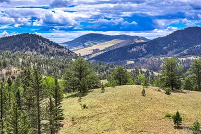 75 Deer Run, Guffey, CO 80820 - Photo 43