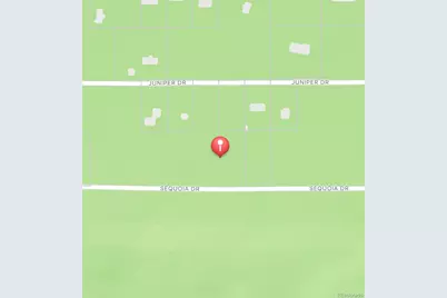 1127 Sequoia Drive, Twin Lakes, CO 80461 - Photo 13