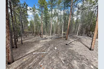 1127 Sequoia Drive, Twin Lakes, CO 80461 - Photo 5