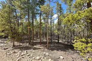 1127 Sequoia Dr, Twin Lakes, CO 80461 - Photo 1