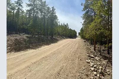 1127 Sequoia Drive, Twin Lakes, CO 80461 - Photo 3