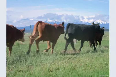 000 Cr 230, Walsenburg, CO 81089 - Photo 31