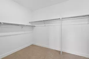 5674 Farrier Pt, Castle Rock, CO 80104 - Photo 19