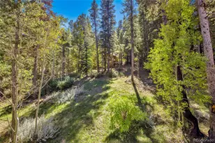 220 Timber Rd, Black Hawk, CO 80422 - Photo 31