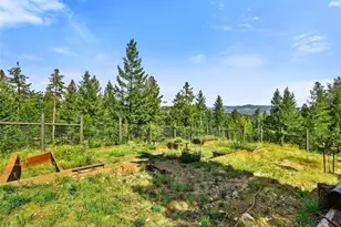 33992 Meadow Mountain Rd, Evergreen, CO 80439 - Photo 41