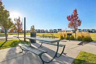 637 Gamble Oak St, Brighton, CO 80601 - Photo 41