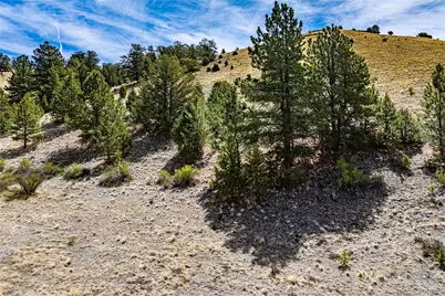 1282 County Road 169A, Cotopaxi, CO 81223 - Photo 31