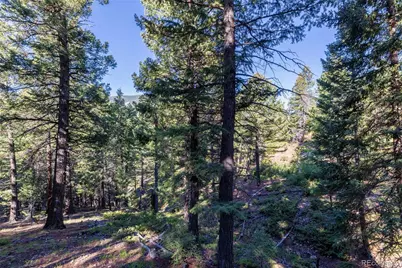 31334 Forest Shadow Trail, Conifer, CO 80433 - Photo 13