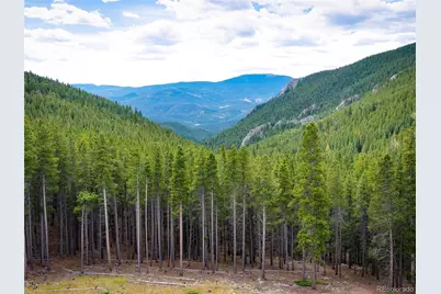 76 Raven Ridge Road, Idaho Springs, CO 80452 - Photo 37