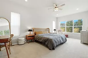 214 Simmental Loop, Castle Rock, CO 80104 - Photo 19