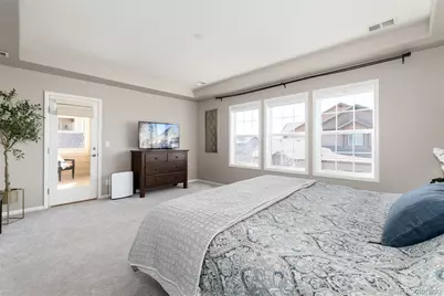 10480 Skyreach Road, Highlands Ranch, CO 80126 - Photo 21