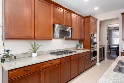 10480 Skyreach Road, Highlands Ranch, CO 80126 - Photo 11