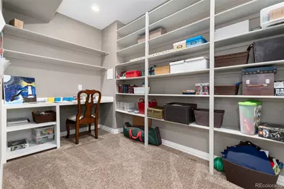 10480 Skyreach Road, Highlands Ranch, CO 80126 - Photo 39