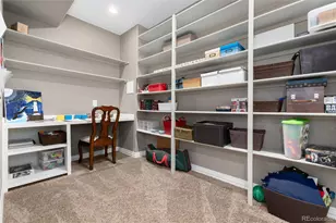 10480 Skyreach Rd, Highlands Ranch, CO 80126 - Photo 39