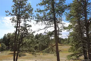 37622 Sable Ridge Rd, Elizabeth, CO 80107 - Photo 31