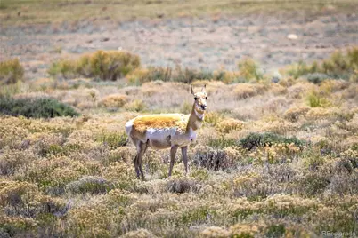 758 Spruce Drive, Twin Lakes, CO 80461 - Photo 27