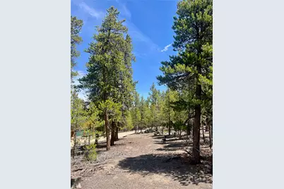 758 Spruce Drive, Twin Lakes, CO 80461 - Photo 15