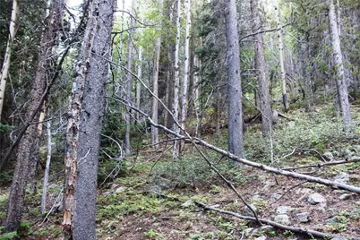 5340 Fs 718.1, Black Hawk, CO 80422 - Photo 5