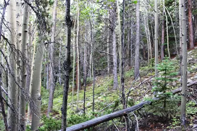 5340 Fs 718.1, Black Hawk, CO 80422 - Photo 3
