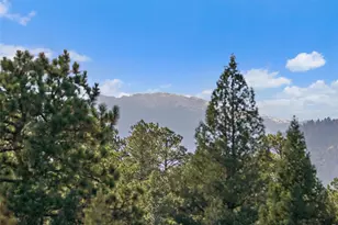 33884 Bergen View Trail, Evergreen, CO 80439 - Photo 25