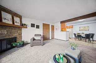 209 Wright St, Lakewood, CO 80228 - Photo 9