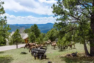 23624 Pondview Pl, Golden, CO 80401 - Photo 33