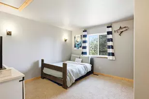 1592 S Pine Dr, Bailey, CO 80421 - Photo 19