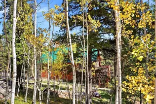 1592 S Pine Dr, Bailey, CO 80421 - Photo 39