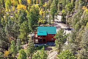 1592 S Pine Dr, Bailey, CO 80421 - Photo 35