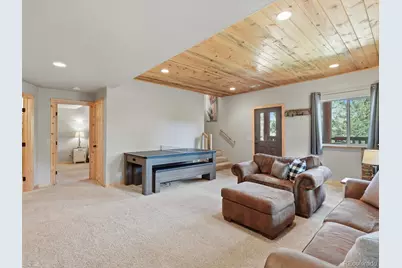 1592 S Pine Drive, Bailey, CO 80421 - Photo 21
