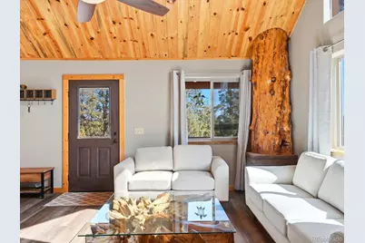 1592 S Pine Drive, Bailey, CO 80421 - Photo 9