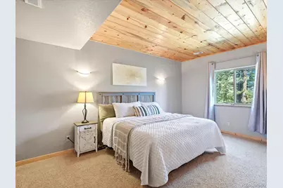 1592 S Pine Drive, Bailey, CO 80421 - Photo 25