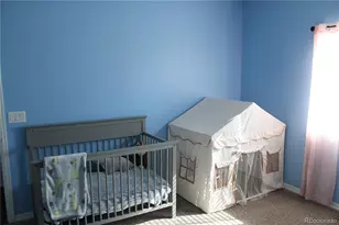 638 Cowboy Way, Canon City, CO 81212 - Photo 33