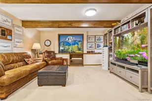 6509 Pike Cir, Larkspur, CO 80118 - Photo 35