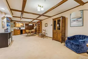 6509 Pike Cir, Larkspur, CO 80118 - Photo 37