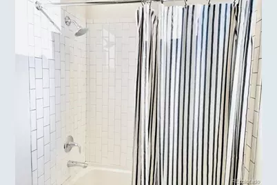 6058 Beeler Court, Denver, CO 80238 - Photo 31