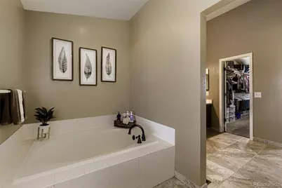 8685 Aberdeen Circle, Highlands Ranch, CO 80130 - Photo 19