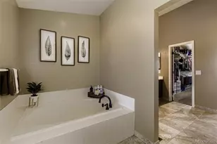 8685 Aberdeen Cir, Highlands Ranch, CO 80130 - Photo 19