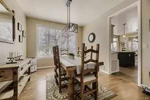 8685 Aberdeen Cir, Highlands Ranch, CO 80130 - Photo 9