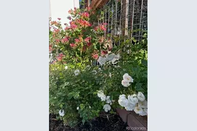 4495 W Tennessee Avenue, Denver, CO 80219 - Photo 19