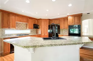 10473 Grizzly Gulch, Highlands Ranch, CO 80129 - Photo 13
