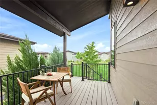 2693 Vallecito St, Timnath, CO 80547 - Photo 39