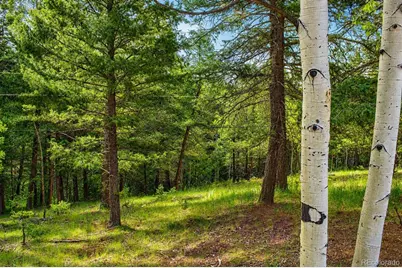 123 Ellis Lake Circle, Divide, CO 80814 - Photo 1