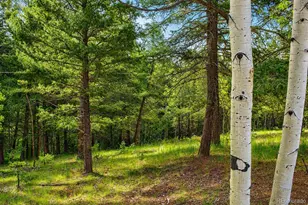 123 Ellis Lake Cir, Divide, CO 80814 - Photo 1